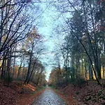 Rommersheim Forest Retreat * Prüm