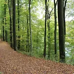 Rommersheim Forest Retreat