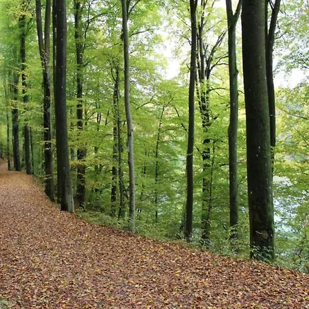 Rommersheim Forest Retreat