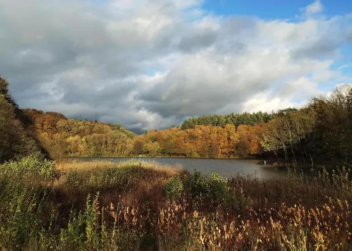 Apartament Rommersheim Forest Retreat