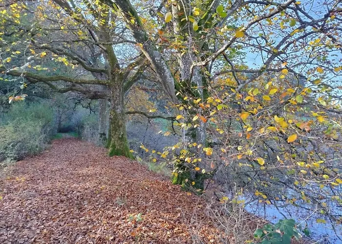 Apartament Rommersheim Forest Retreat *