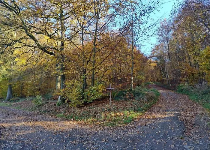 Apartament Rommersheim Forest Retreat